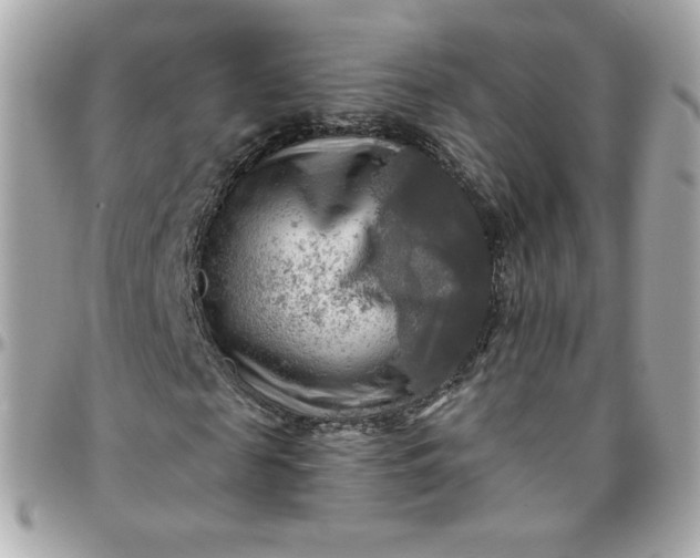 X0000096220817200802011341