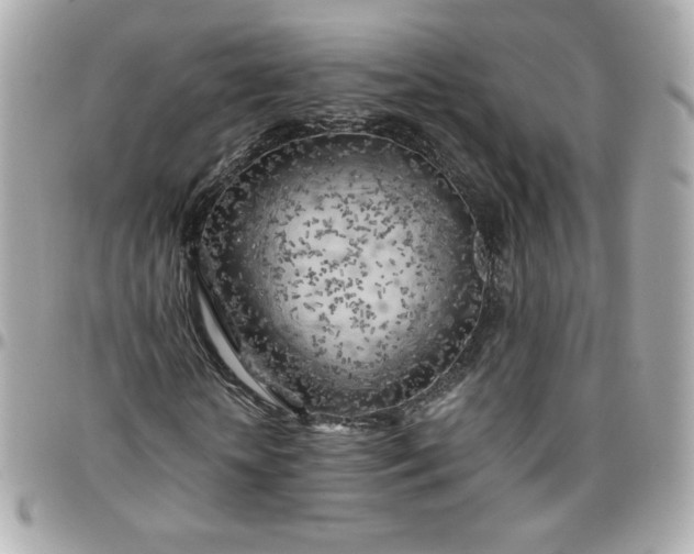 X0000096220818200802011341