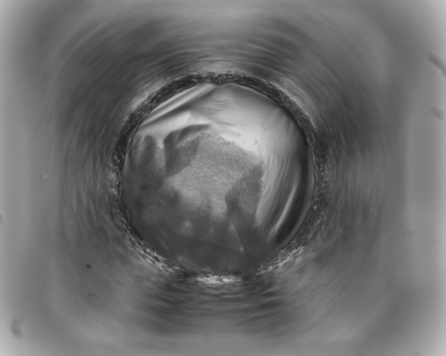 X0000096220823200802011341