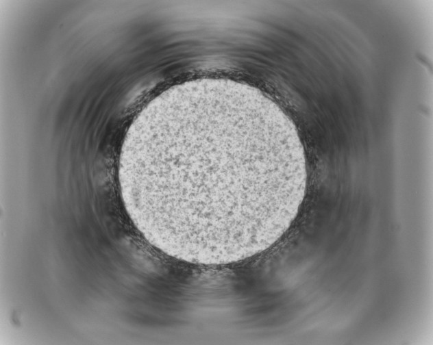 X0000096220824200802011341