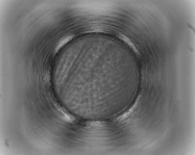 X0000096220826200802011341