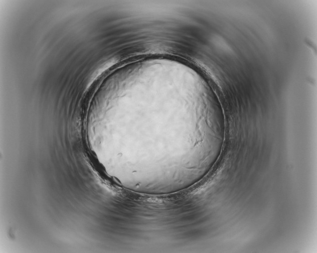 X0000096220827200802011341