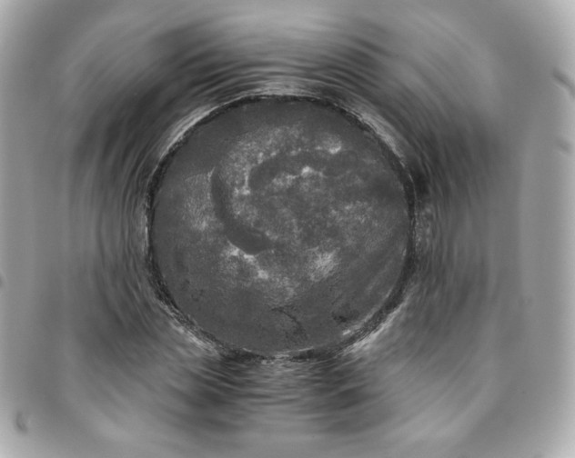 X0000096220829200802011341