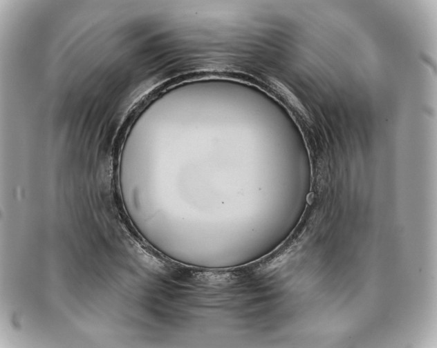 X0000096220831200802011341