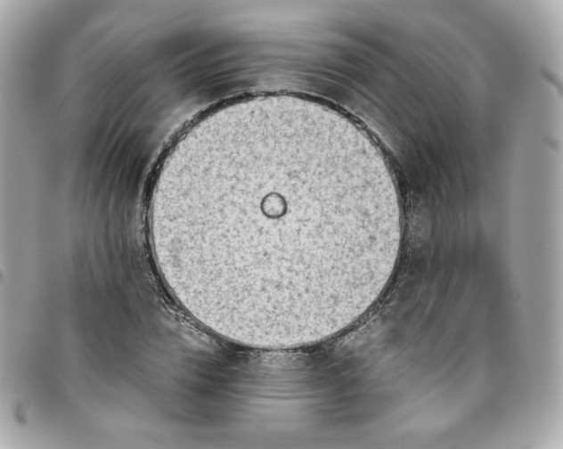 X0000096220832200802011341