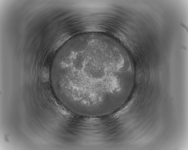 X0000096220833200802011341