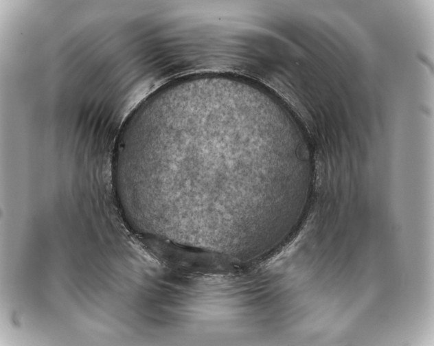 X0000096220834200802011341