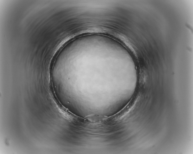 X0000096220837200802011341