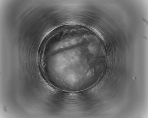 X0000096220839200802011341