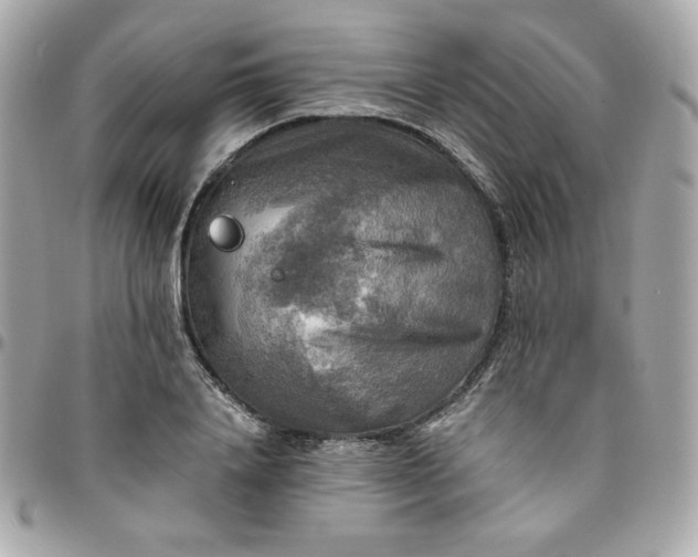 X0000096220840200802011341