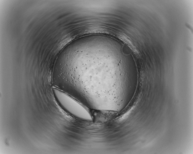 X0000096220841200802011341