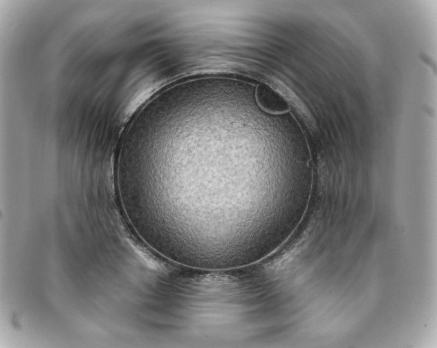 X0000096220842200802011341