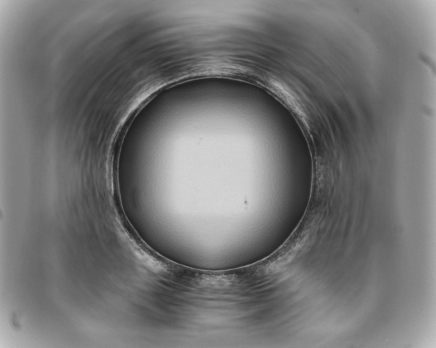 X0000096220843200802011341