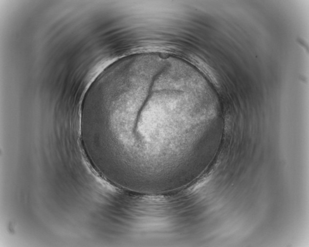 X0000096220844200802011341