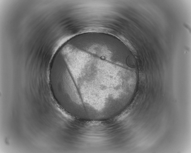 X0000096220846200802011341