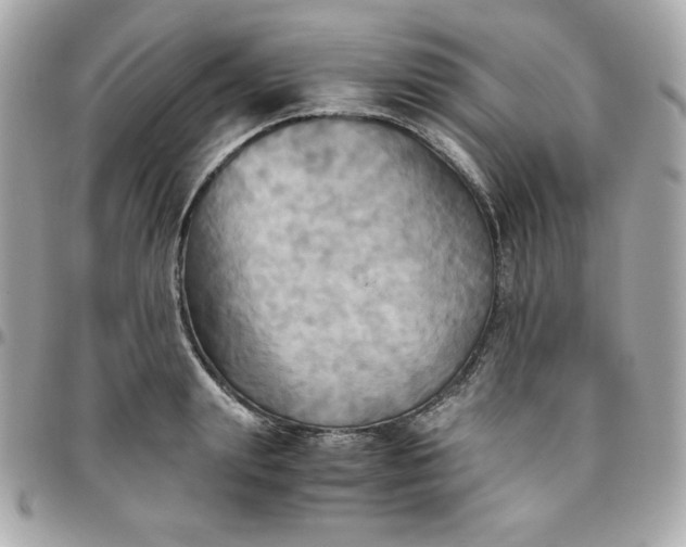 X0000096220847200802011341