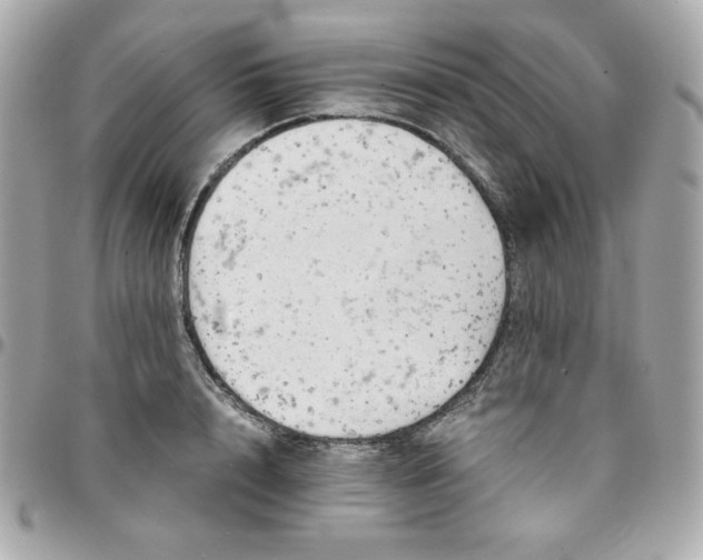 X0000096220848200802011341