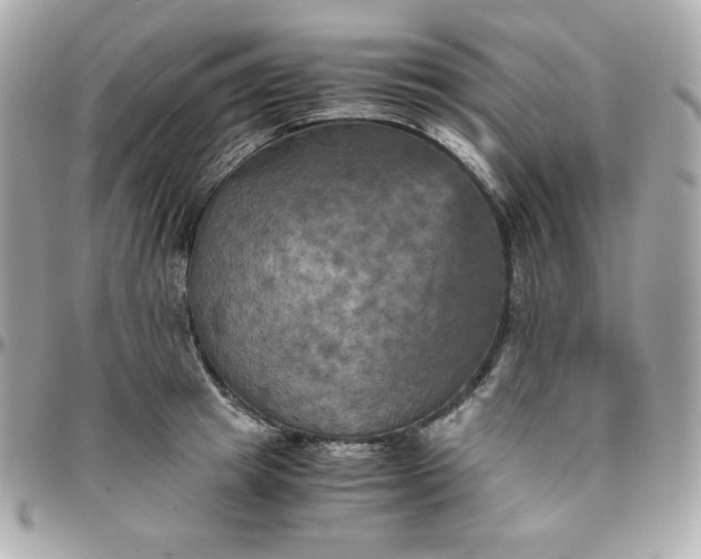 X0000096220849200802011341