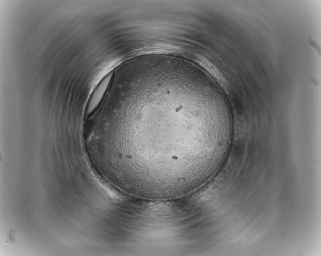 X0000096220850200802011341