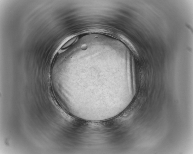 X0000096220852200802011341