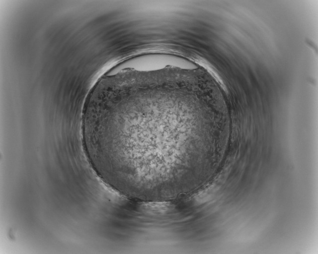 X0000096220853200802011341