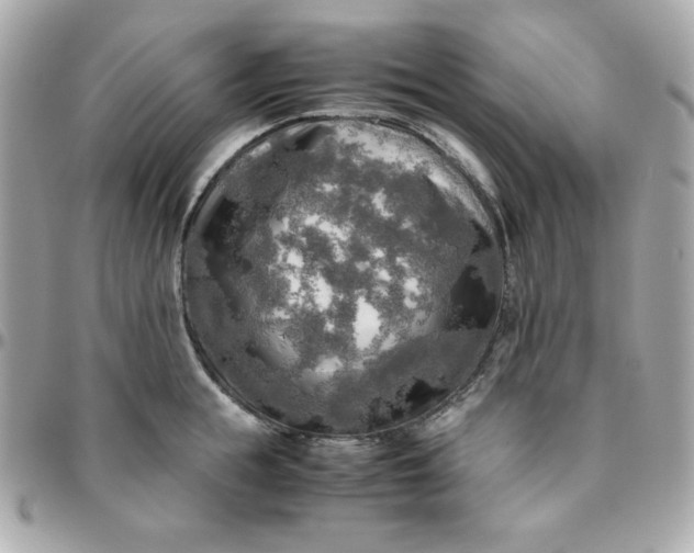 X0000096220855200802011342