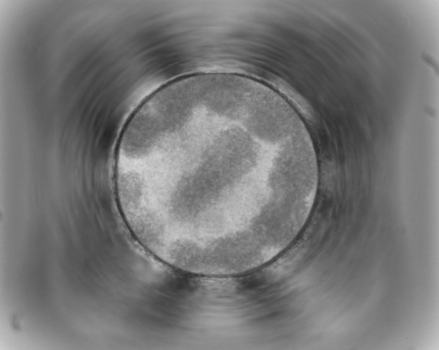 X0000096220856200802011342