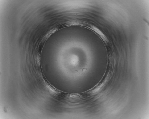 X0000096220857200802011342