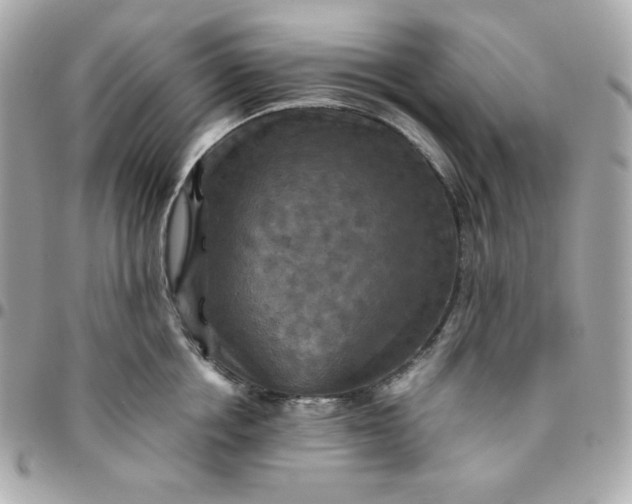 X0000096220858200802011342