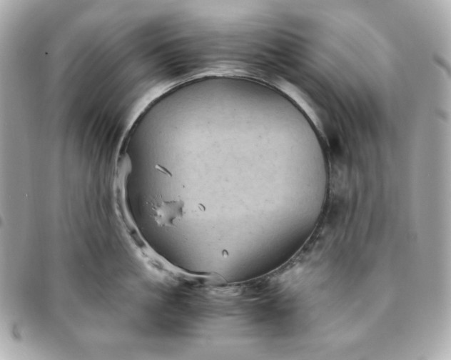 X0000096220861200802011342