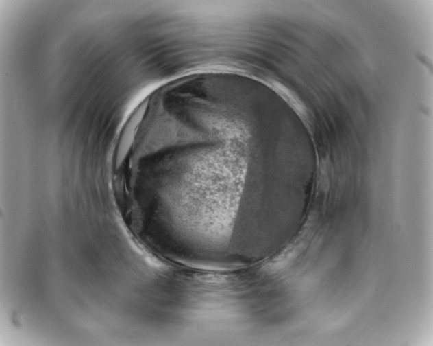 X0000096220862200802011342