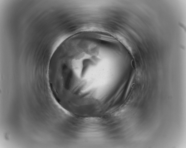 X0000096220863200802011342