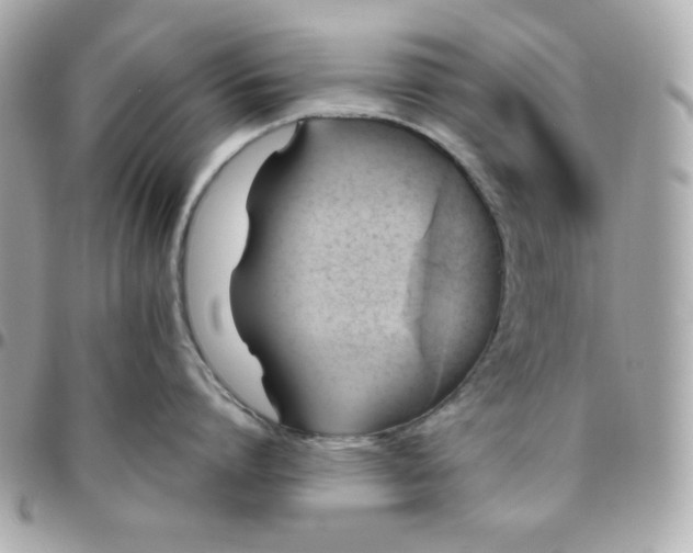 X0000096220864200802011342