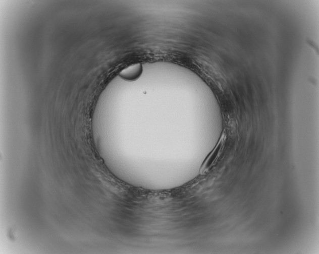 X0000096220865200802011341