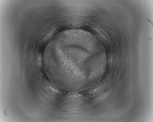 X0000096220866200802011341