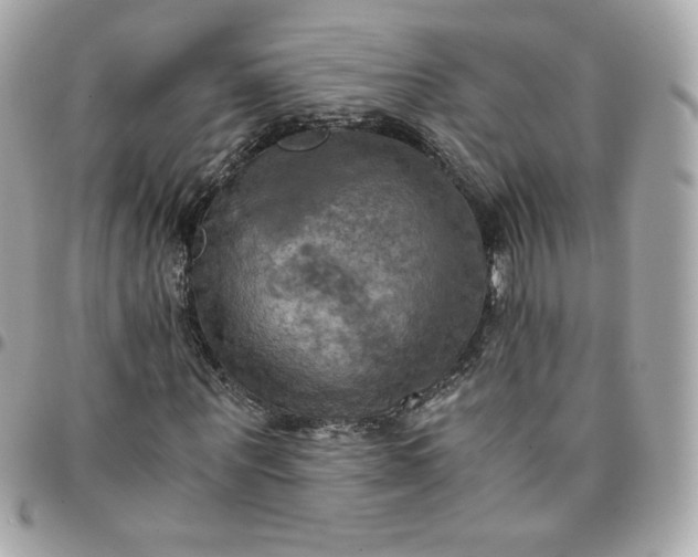 X0000096220867200802011341