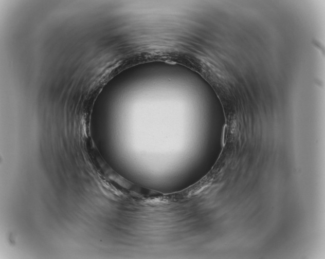 X0000096220868200802011341