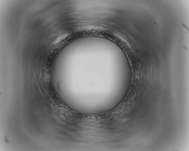 X0000096220869200802011341