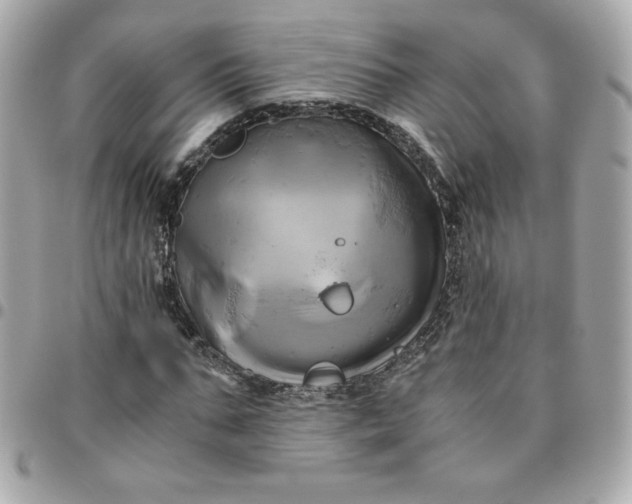 X0000096220871200802011341