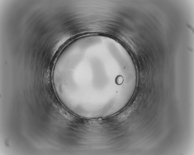 X0000096220875200802011341