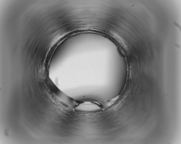 X0000096220876200802011341