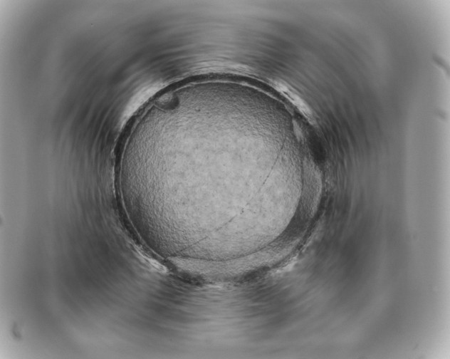 X0000096220877200802011341