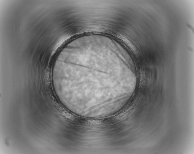 X0000096220878200802011341