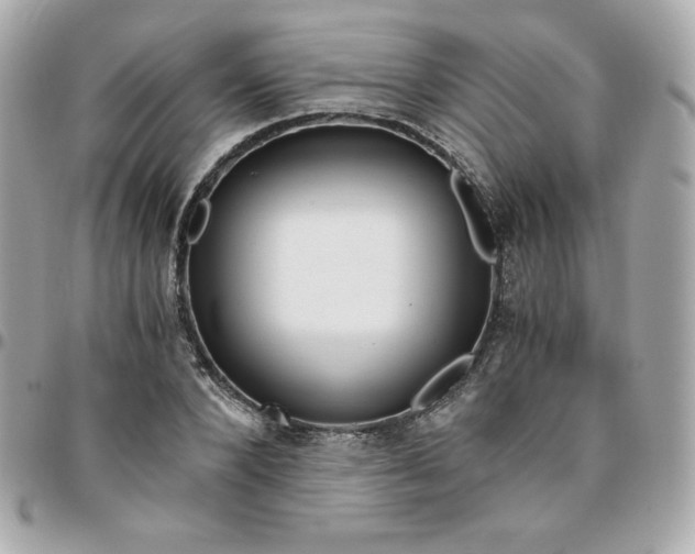 X0000096220880200802011341