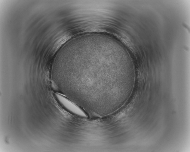 X0000096220881200802011341