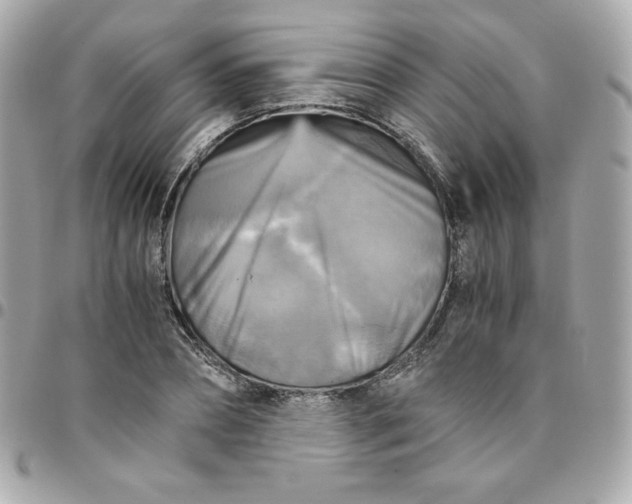 X0000096220882200802011341