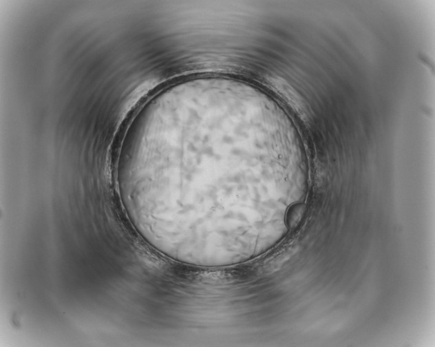 X0000096220883200802011341