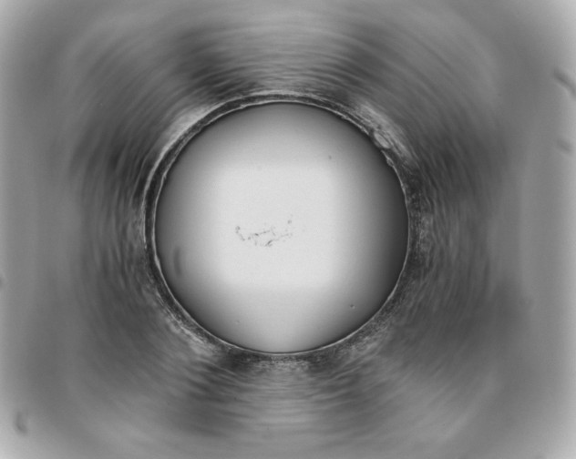 X0000096220884200802011341