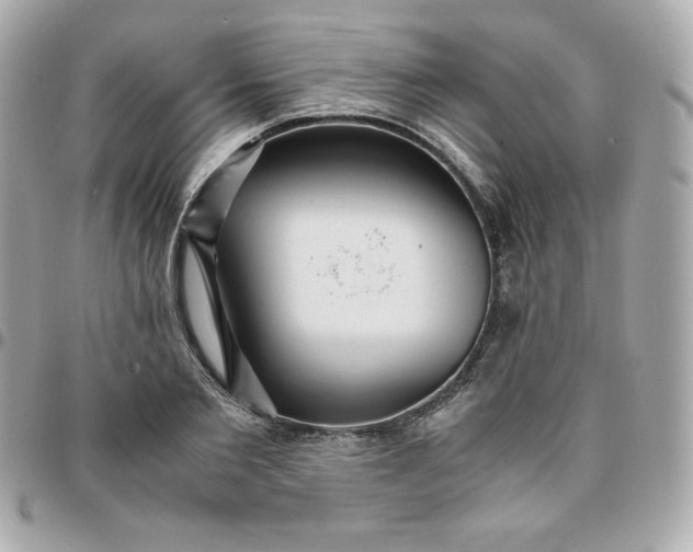 X0000096220885200802011341