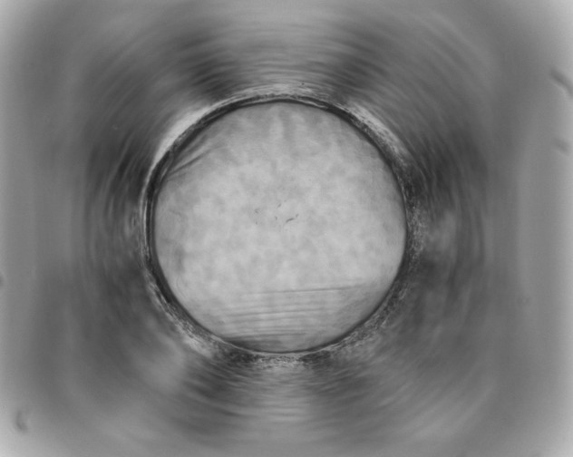 X0000096220886200802011341